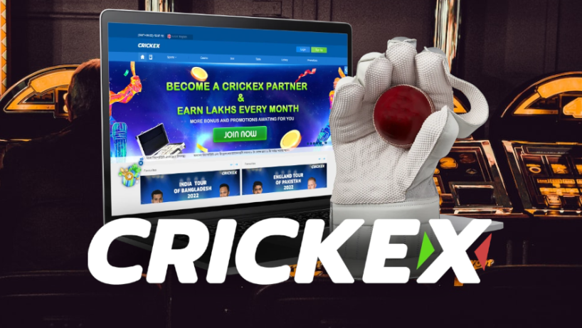 Crickex - General overview for Indian users